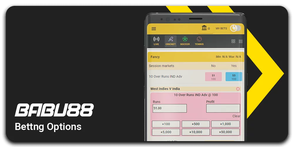 Babu88 Betting Options